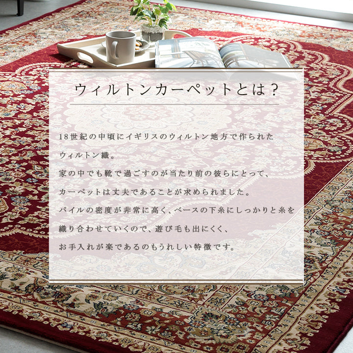 格調高いメダリオン柄ラグ トルコ製ウィルトン織りカーペット ベルミラ