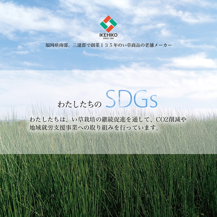 い草リース
