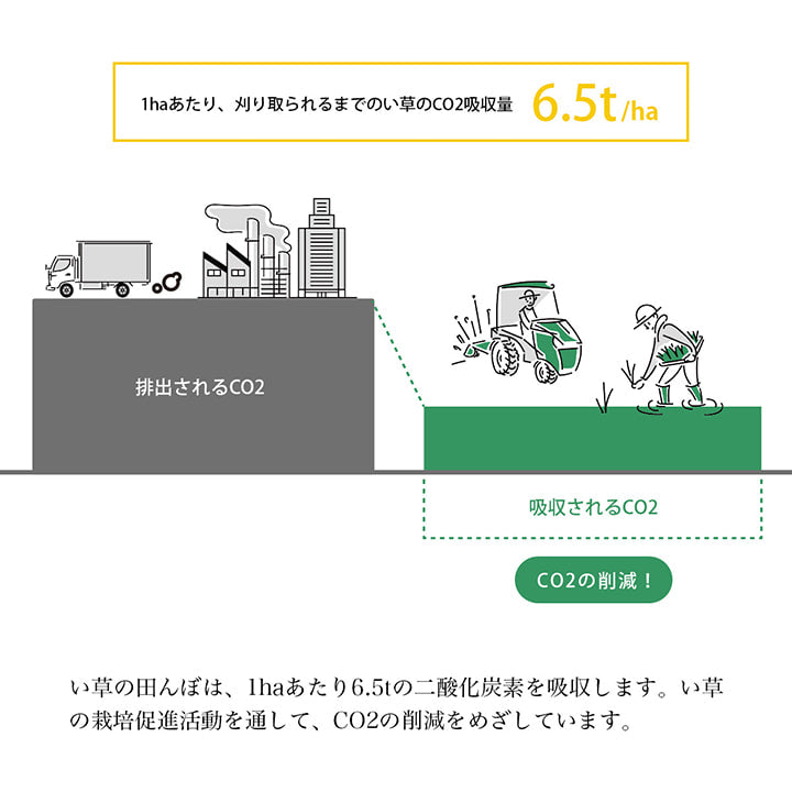 い草リース
