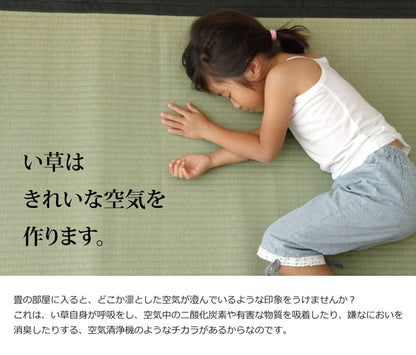 国産い草上敷き 清正 見た目の美しさと耐久性にこだわり抜いた上敷き 江戸間サイズ