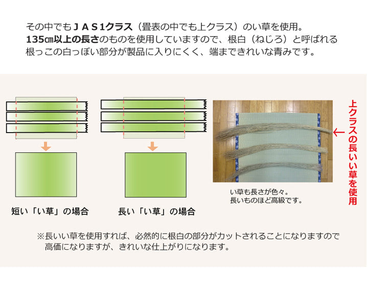 国産い草上敷き 清正 見た目の美しさと耐久性にこだわり抜いた上敷き 江戸間サイズ