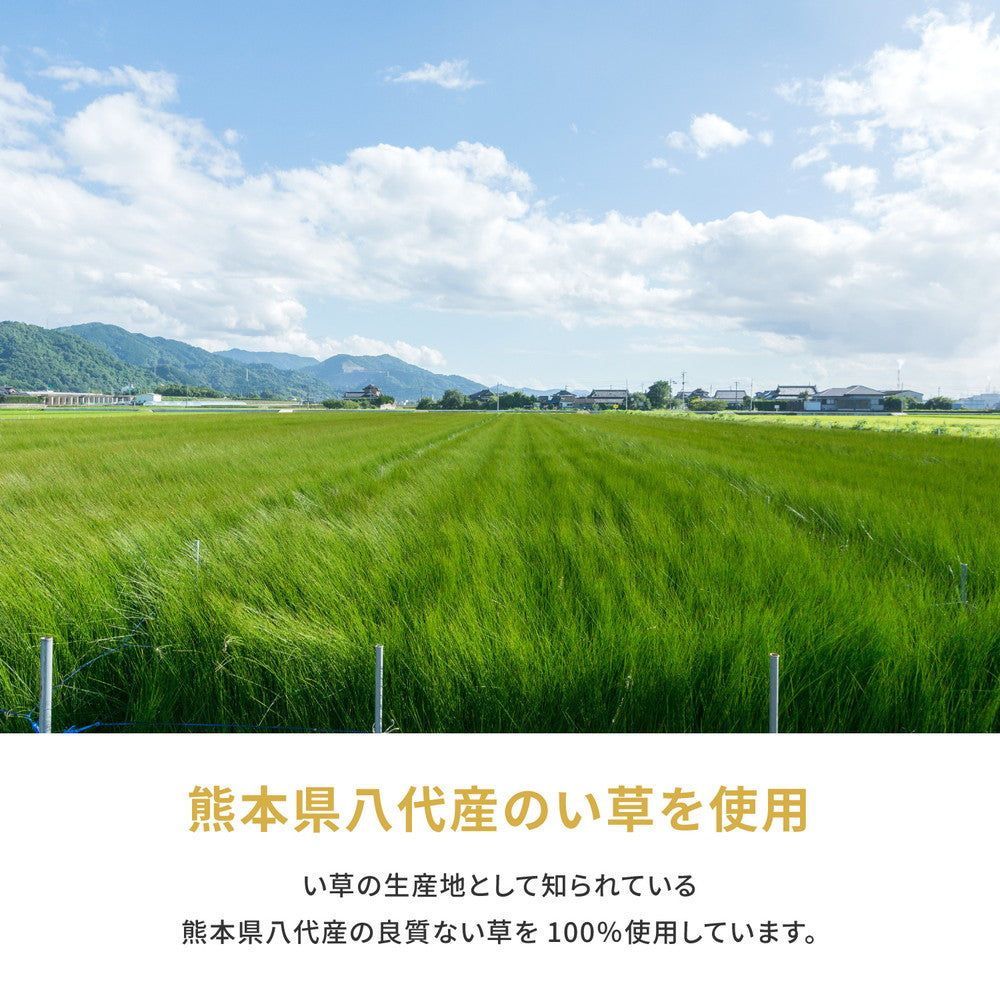 国産のい草と日本の職人の技術が織りなす引目織の上敷き 琥珀 江戸間サイズ