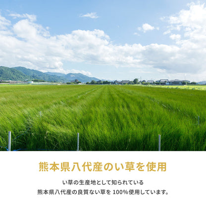 国産のい草と日本の職人の技術が織りなす引目織の上敷き 琥珀 江戸間サイズ