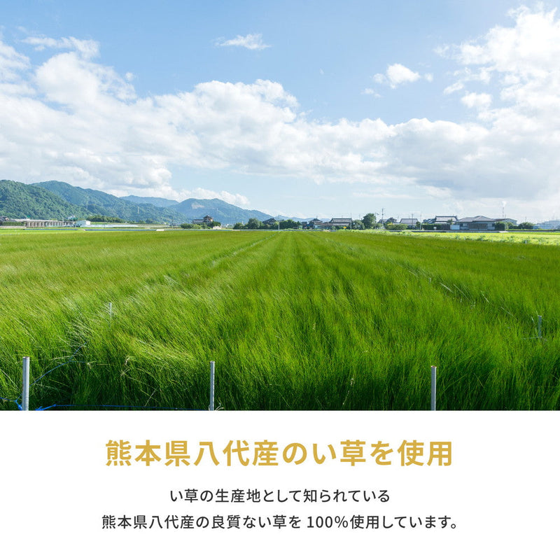 国産のい草と日本の職人の技術が織りなす引目織の上敷き 琥珀 江戸間サイズ