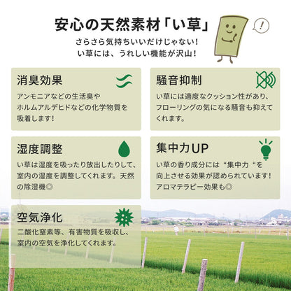 国産のい草と日本の職人の技術が織りなす引目織の上敷き 琥珀 江戸間サイズ