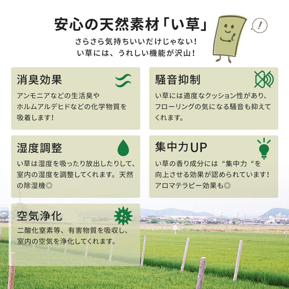 国産のい草と日本の職人の技術が織りなす引目織の上敷き 琥珀 本間サイズ