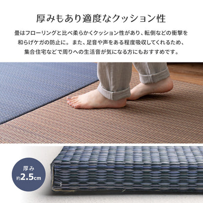 軽くて便利な置き畳 アジアンテイストのシンプルデザイン 南風 同色セット 65×65×2.5cm