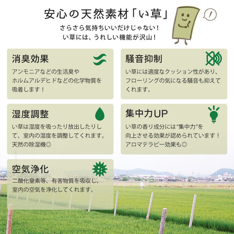軽くて便利な置き畳 隙間スペースを有効活用 倉敷II  同色セット