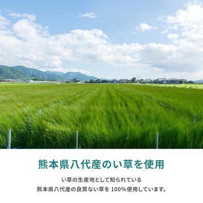国産のい草と日本の職人の技術が織りなす引目織の上敷き 天草 江戸間サイズ
