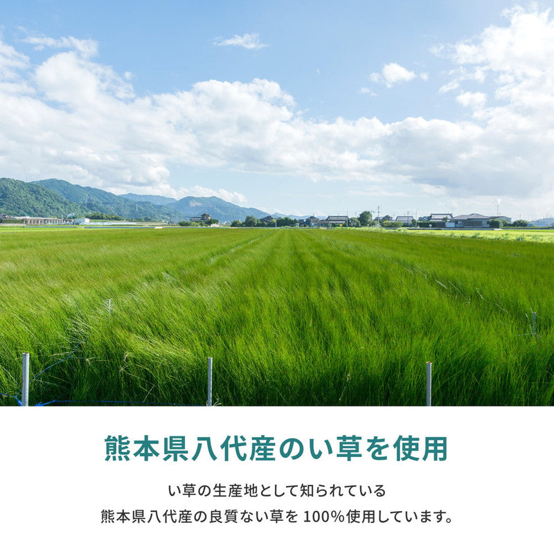 国産のい草と日本の職人の技術が織りなす引目織の上敷き 天草 江戸間サイズ