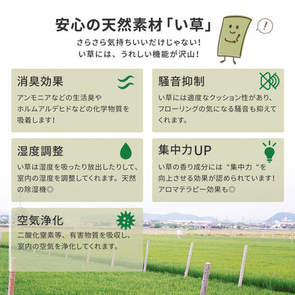 国産のい草と日本の職人の技術が織りなす引目織の上敷き 天草 江戸間サイズ