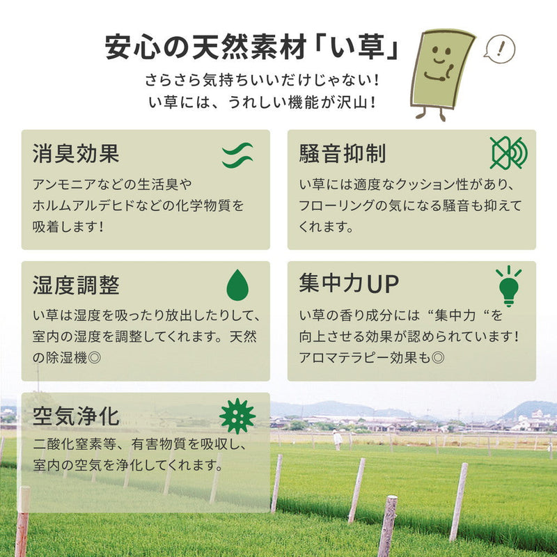 高品質な国産のい草と日本の職人の技術が織りなす双目織の上敷き 天草 本間サイズ