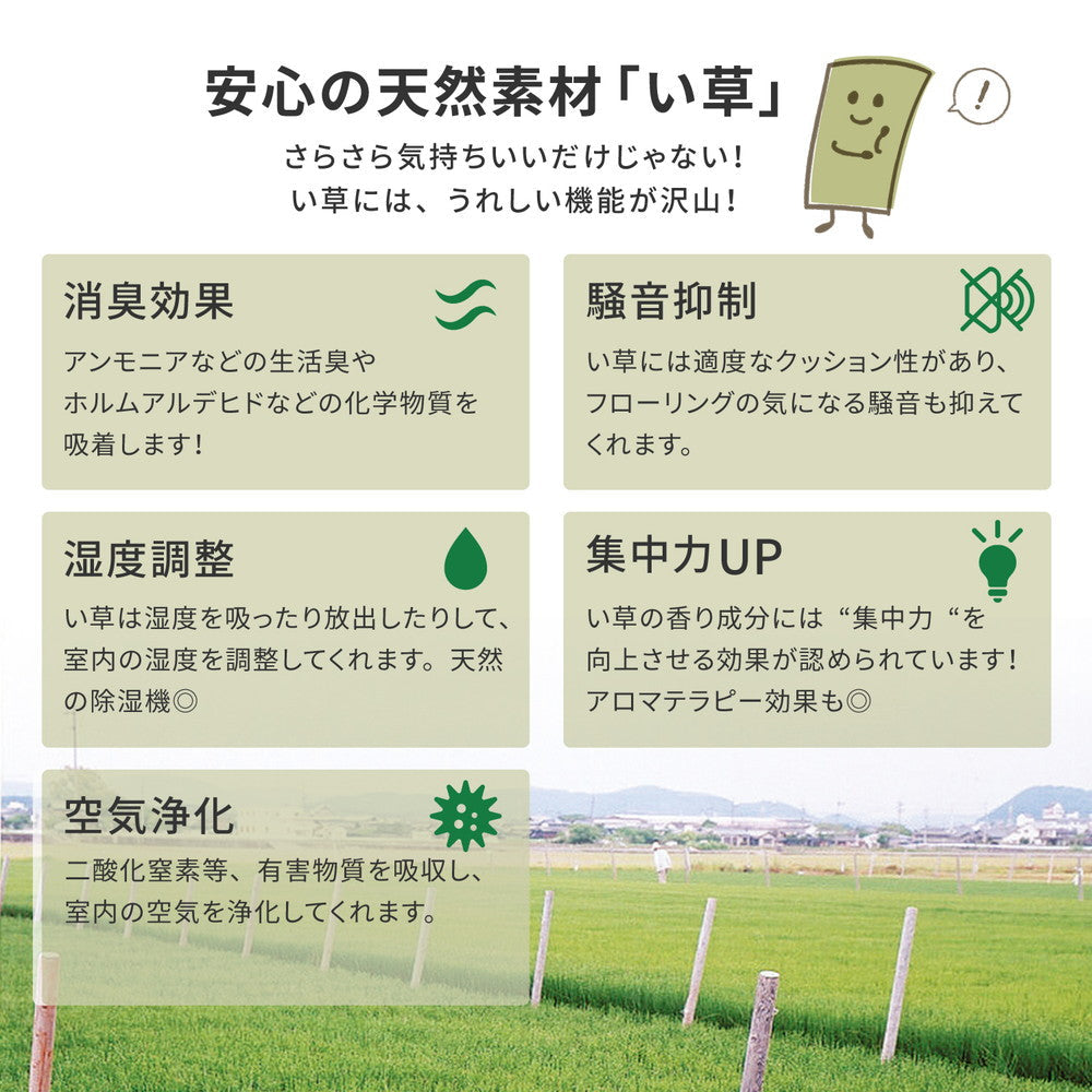 国産のい草と日本の職人の技術が織りなす引目織の上敷き 天草 団地間サイズ
