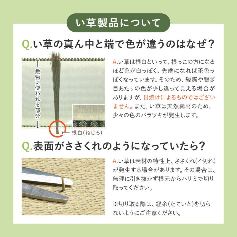 和モダンに映える、フローリングに置く畳  凛 置き畳 約82×82×2.5cm