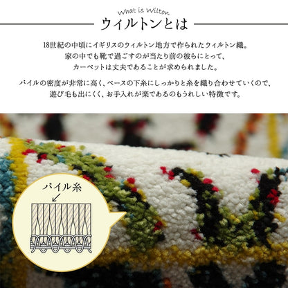 ホワイトベースの鮮やか玄関マット  ダンテ