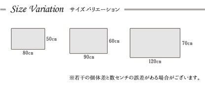 ホワイトベースの鮮やか玄関マット  ダンテ