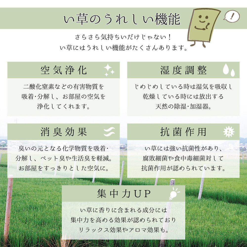 上質な国産い草を使用したい草ラグ 吉兆 裏貼り加工