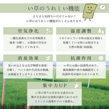 上質な国産い草を使用したい草ラグ 吉兆 裏貼り加工