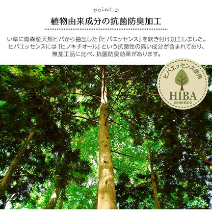 ギャベ柄で明るいデザインに仕上げたい草ラグ 裏貼り加工