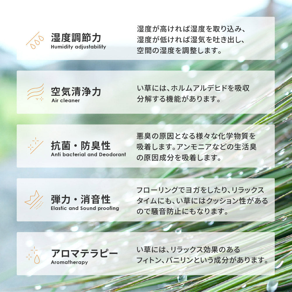 シンプルなデザインのい草ラグ 複数の染めい草を使用 南風