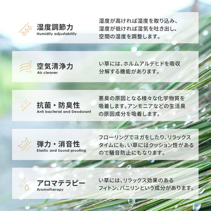シンプルなデザインのい草ラグ 複数の染めい草を使用 南風