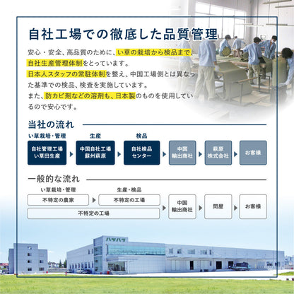 和モダンテイストのい草ラグ クレパス 中材にウレタンを約12mm入れた3層構造