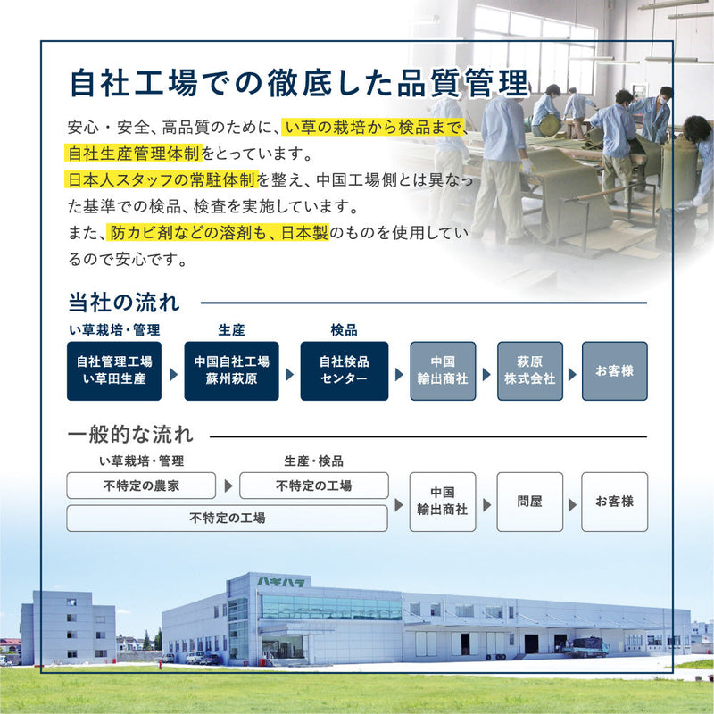 和モダンテイストのい草ラグ クレパス 中材にウレタンを約12mm入れた3層構造