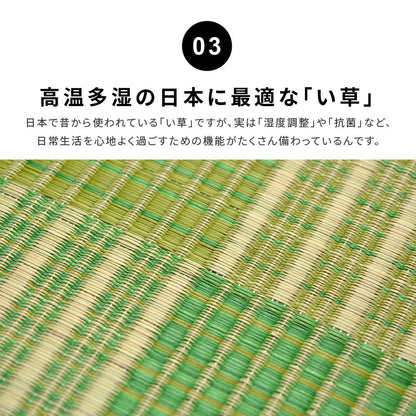 和モダンテイストのい草ラグ クレパス 中材にウレタンを約8mm入れた3層構造