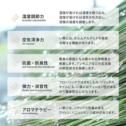 和モダンテイストのい草ラグ クレパス 中材にウレタンを約8mm入れた3層構造
