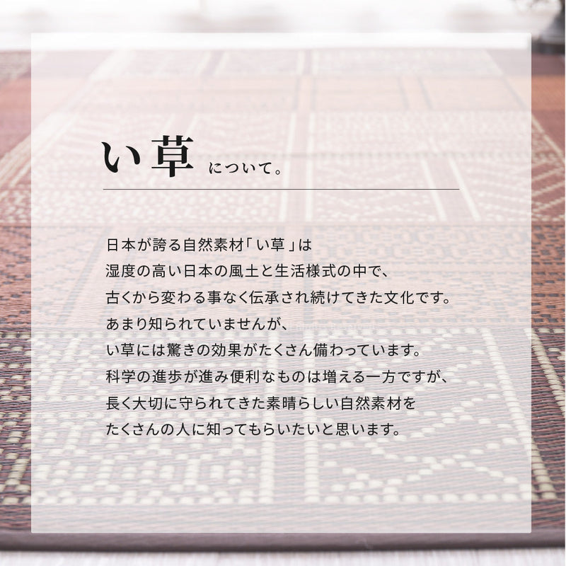 幾何柄と高級感を表現したい草ラグ 伊勢型紙の繊細な柄を表現 伊勢 裏貼り