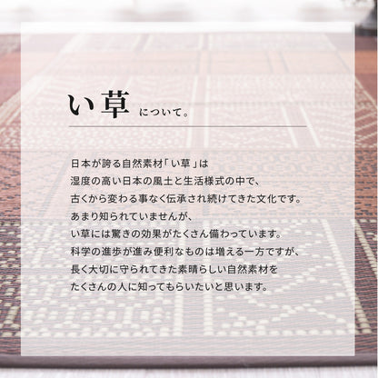 幾何柄と高級感を表現したい草ラグ 伊勢型紙の繊細な柄を表現 伊勢 裏貼り
