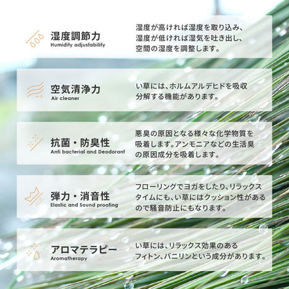 幾何柄と高級感を表現したい草ラグ 伊勢型紙の繊細な柄を表現 伊勢 裏貼り