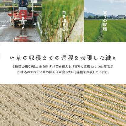 国産い草カーペット せとのと 倉ノ戸 江戸間サイズ