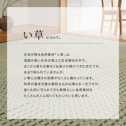 涼しげなブルーと市松模様風のデザインがおしゃれな天然い草ラグ 上敷き 清澄
