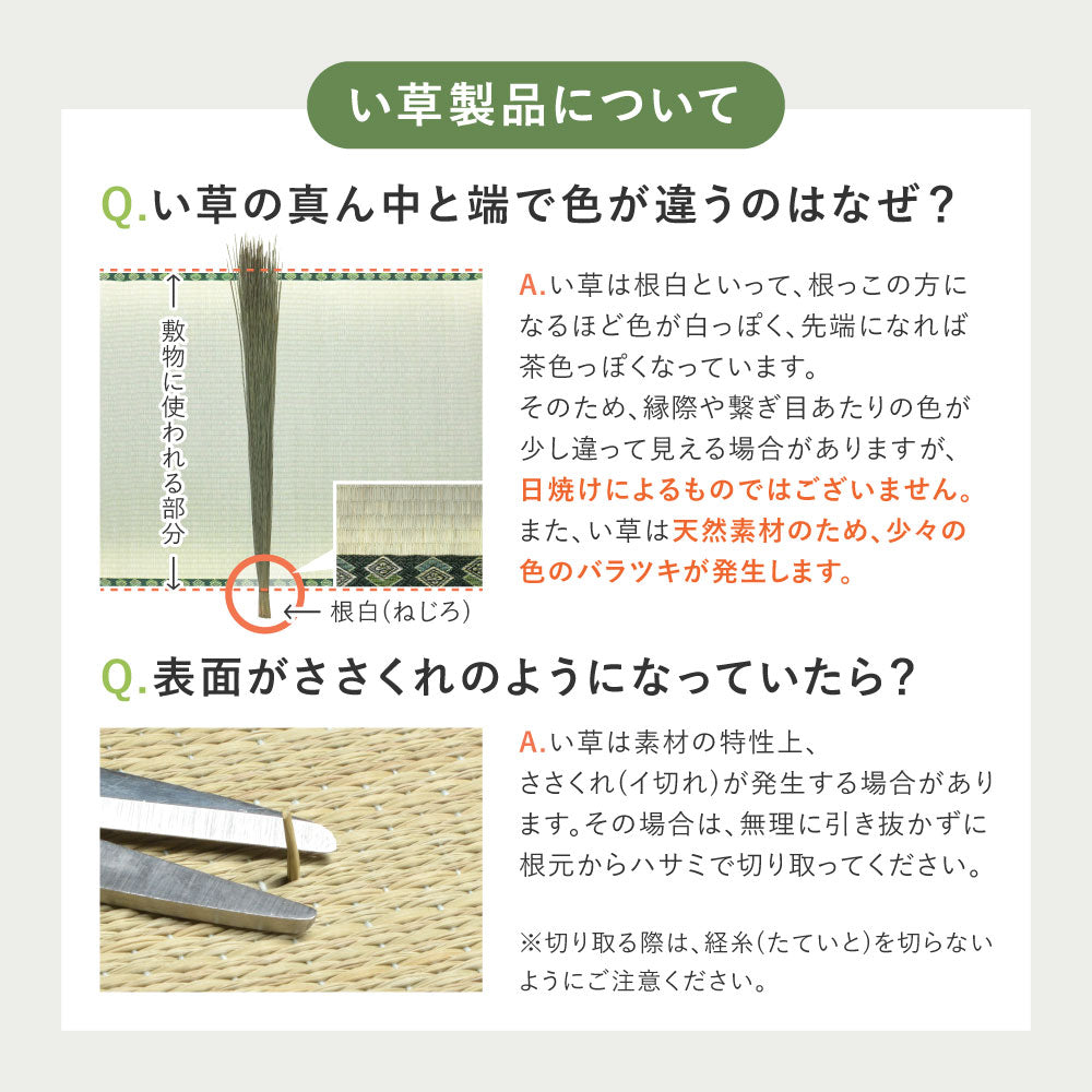 和モダンに彩る天然い草カーペット 涼み