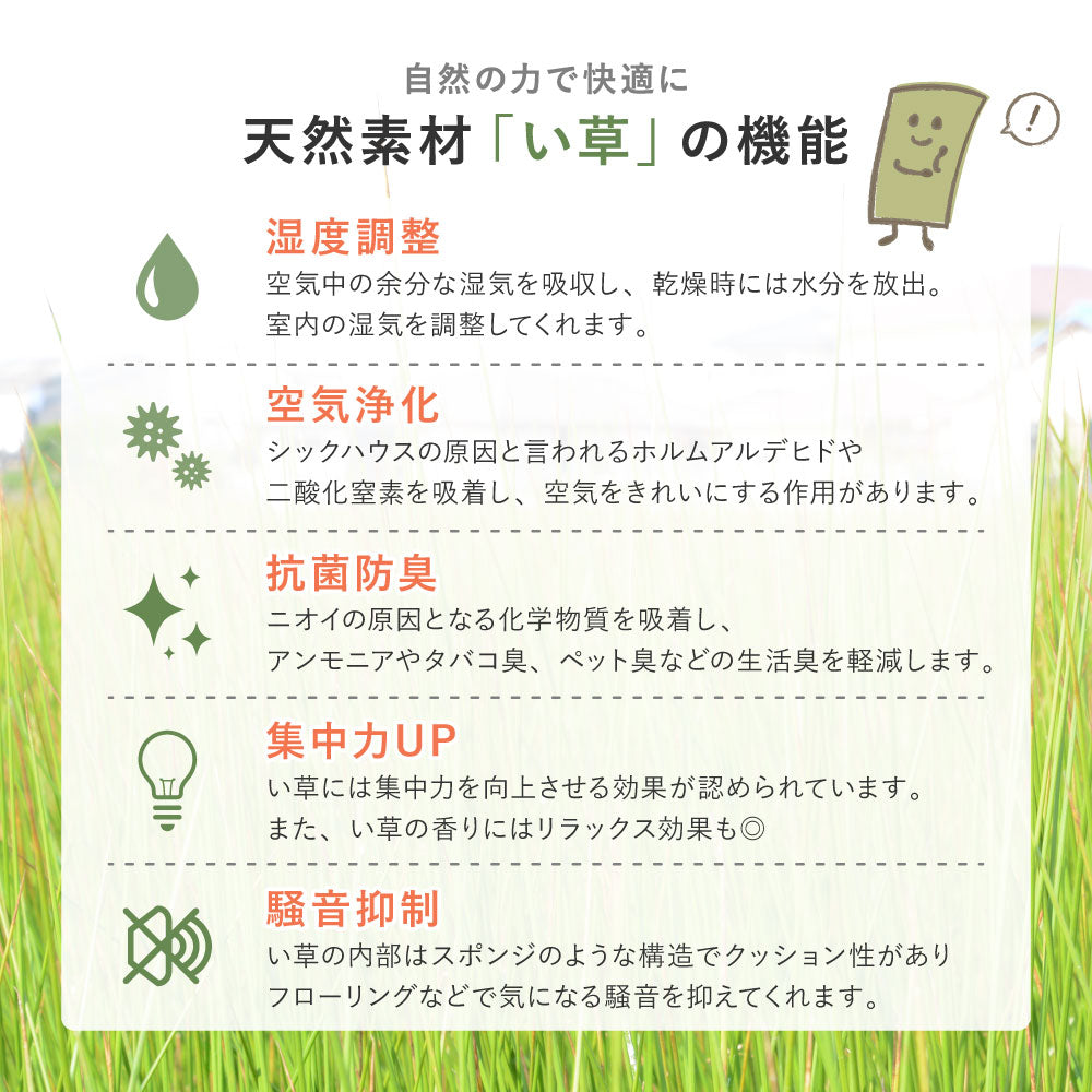 和モダンに彩る天然い草カーペット 涼み