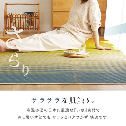 美しいグラデーションデザインのい草ラグ（裏貼り）　彩風 いろかぜ