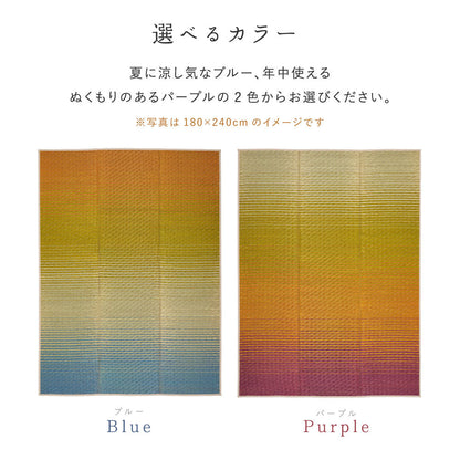 美しいグラデーションデザインのい草ラグ（裏貼り）　彩風 いろかぜ