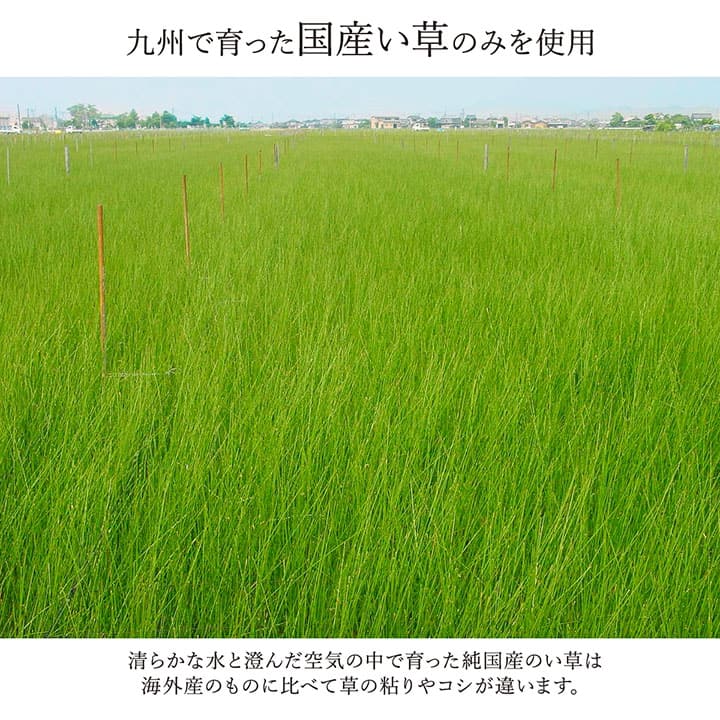 モダンデザインのい草ラグ 日本の職人により作られた和の美しさを持つ ランクス