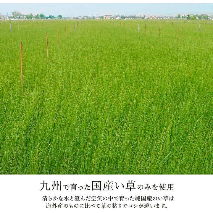 モダンなデザインのい草ラグ 細かい織目が美しくシンプルなデザイン