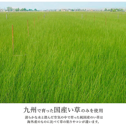 モダンなデザインのい草ラグ 細かい織目が美しくシンプルなデザイン