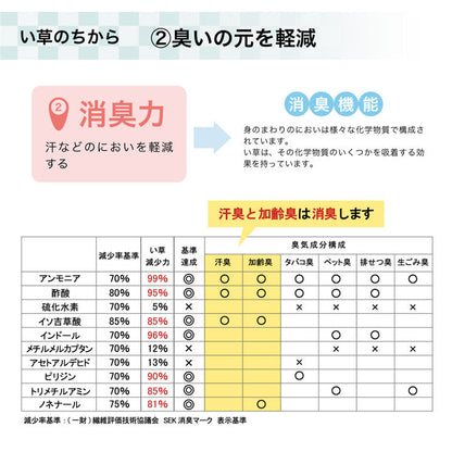 はっ水加工のシンプルない草ラグ ウレタン入りでふっくらとしたふみ心地