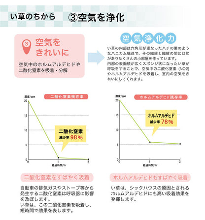 はっ水加工のシンプルない草ラグ ウレタン入りでふっくらとしたふみ心地
