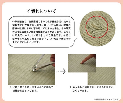 グラデーションカラーのい草ラグ お部屋の彩と清潔感をプラスする 中材ウレタン入り