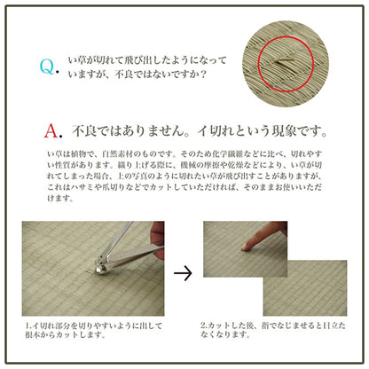 シンプルなボーダー柄のい草ラグ シルフ