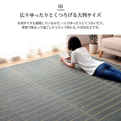 シンプルなボーダー柄のい草ラグ シルフ
