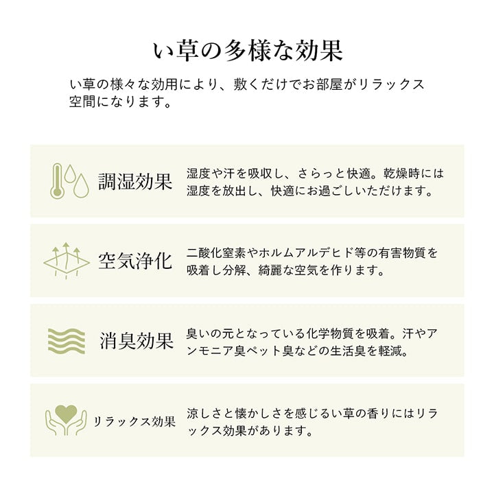 シンプルなボーダー柄のい草ラグ シルフ