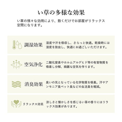 シンプルなボーダー柄のい草ラグ シルフ