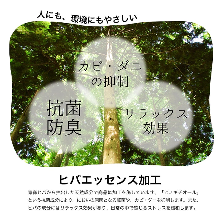 シンプルなボーダー柄のい草ラグ シルフ