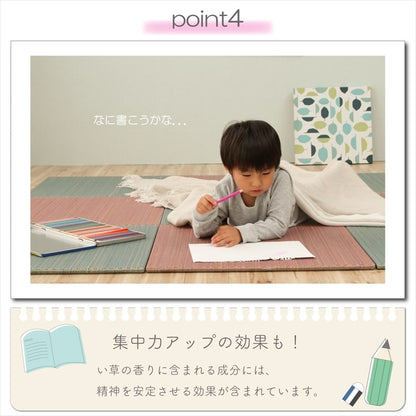 カラフルない草の置き畳 床に置くだけで簡単に遊べる空間ができる プチカラー畳